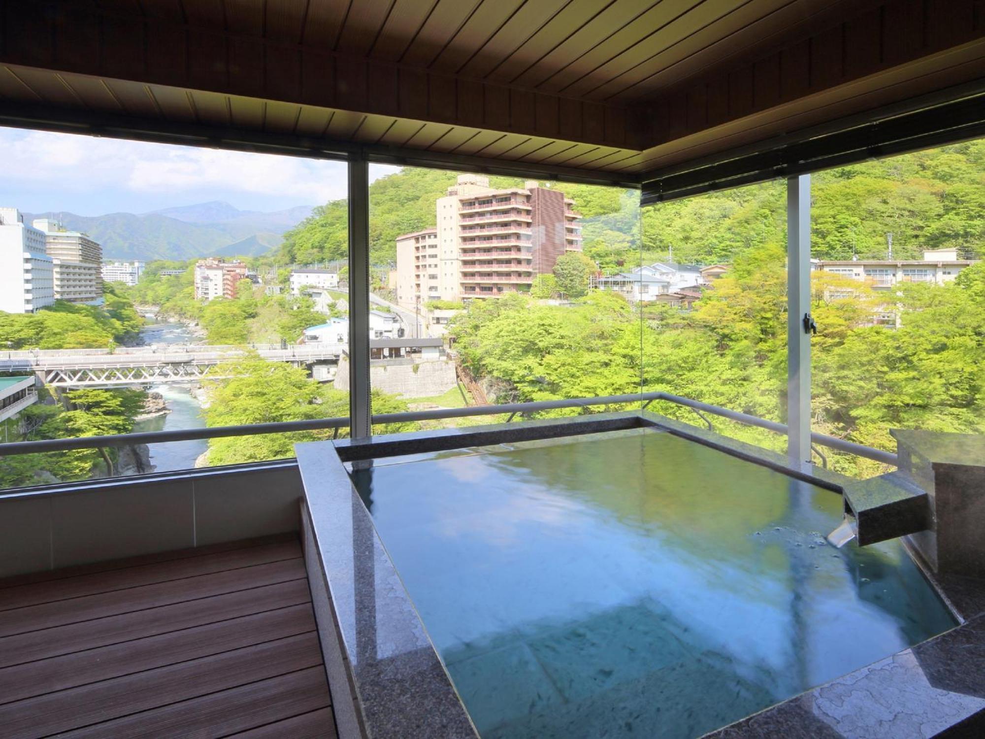 Kinugawa Plaza Hotel Nikko Rum bild
